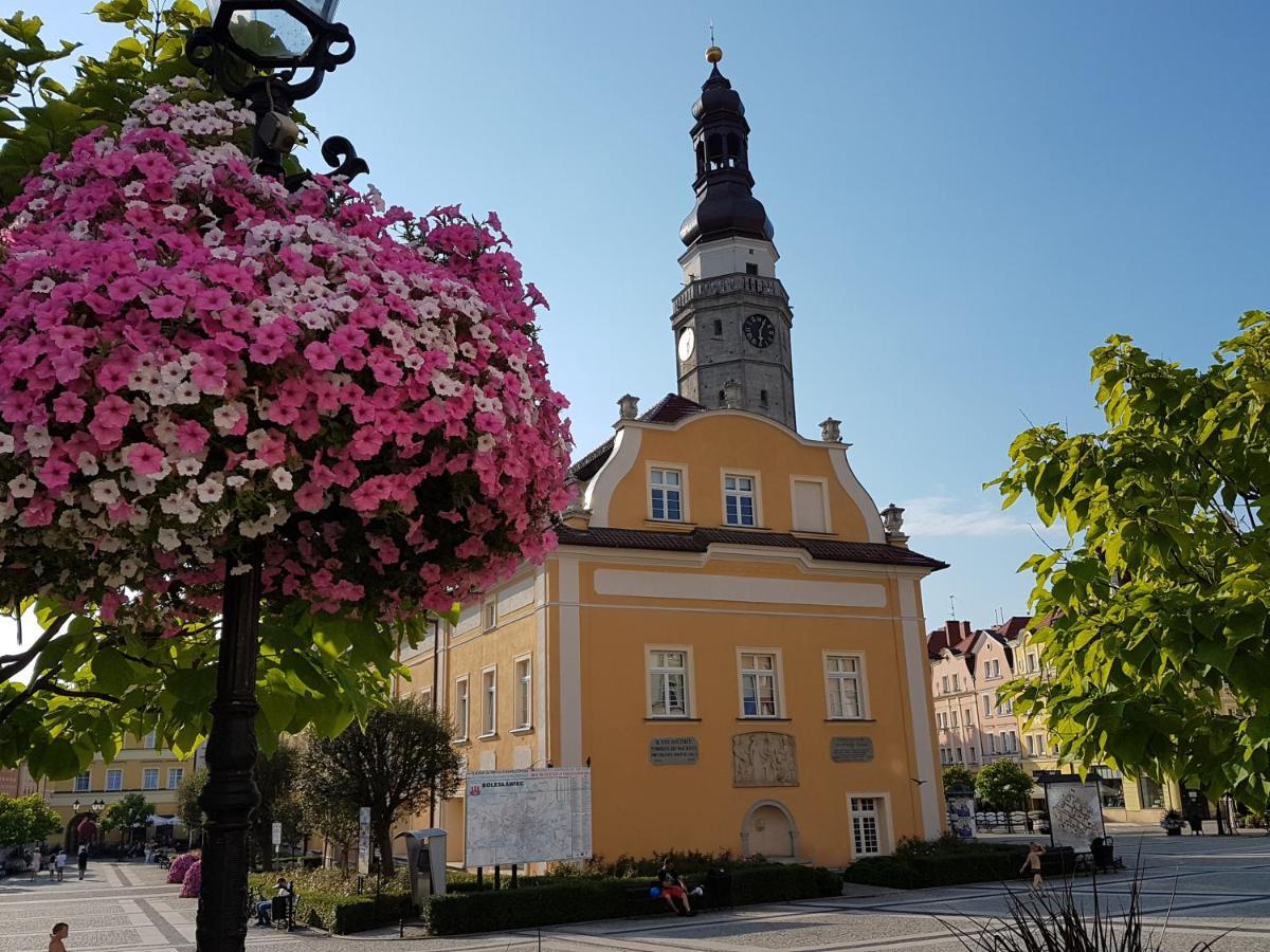 Apartament Przy Starowce - Hampton Boleslawiec  Luaran gambar
